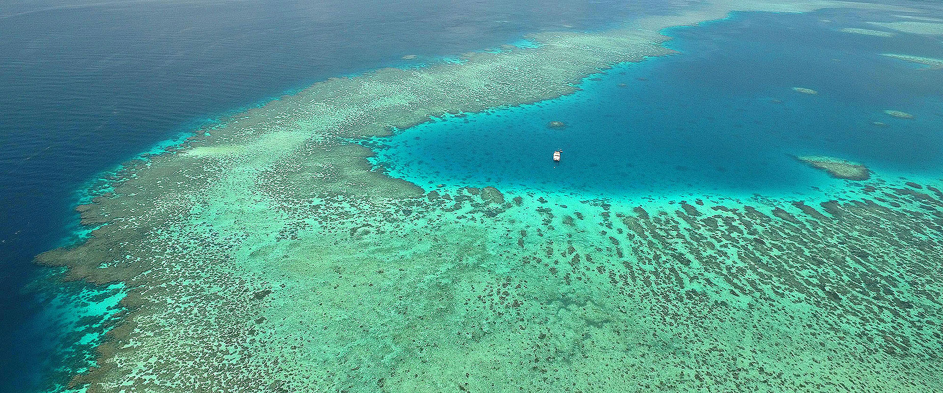 MOTHER SHIPPING  <span>WEIPA FISHING CHARTERS</span>